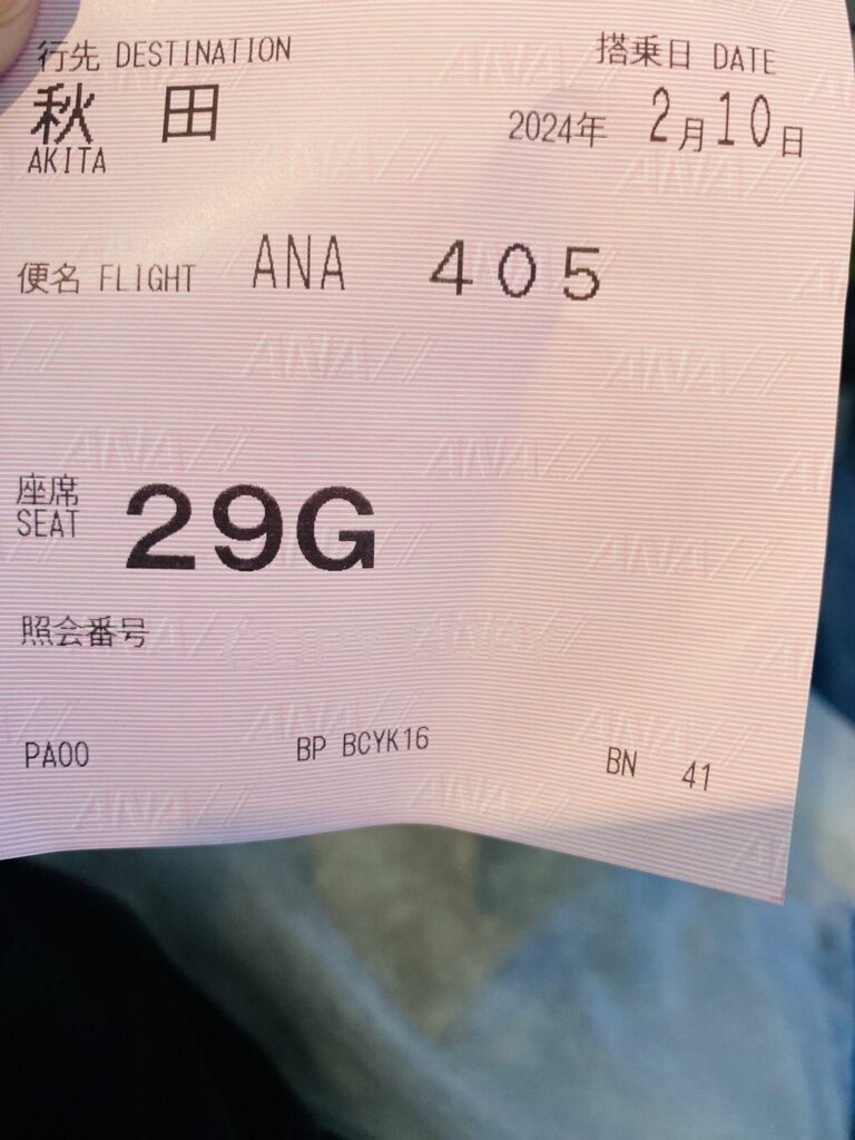ANA405 チケット