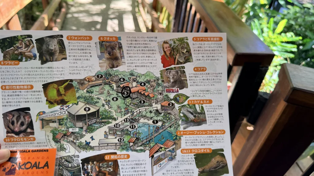 キュランダコアラガーデンズ